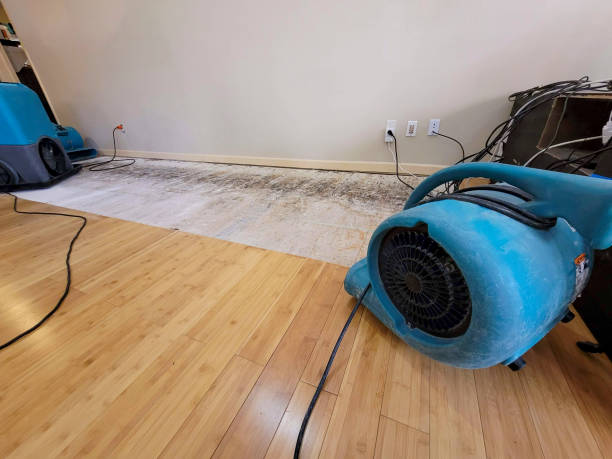Professional Water Damage Repair technician working in Cumberland, RI